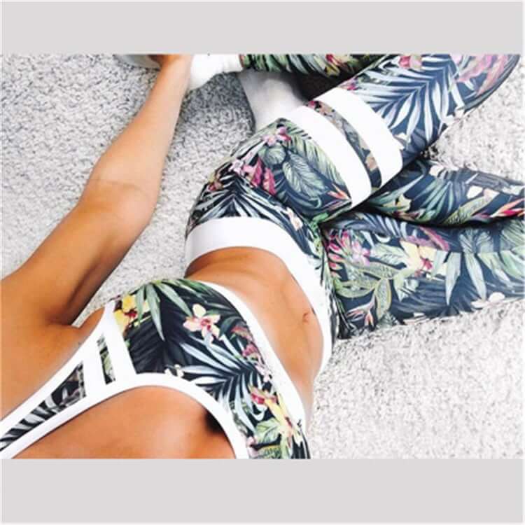 JL Fly